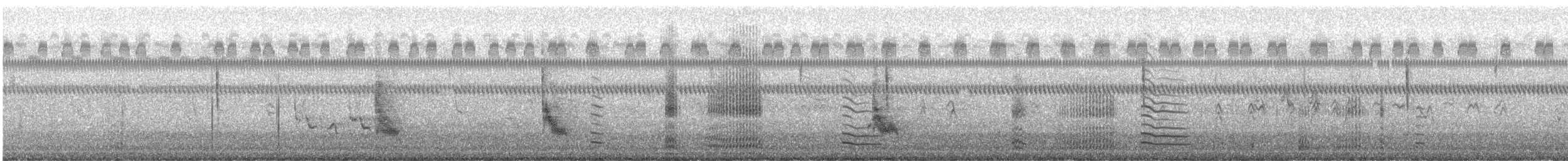 Лиска американська - ML644916673
