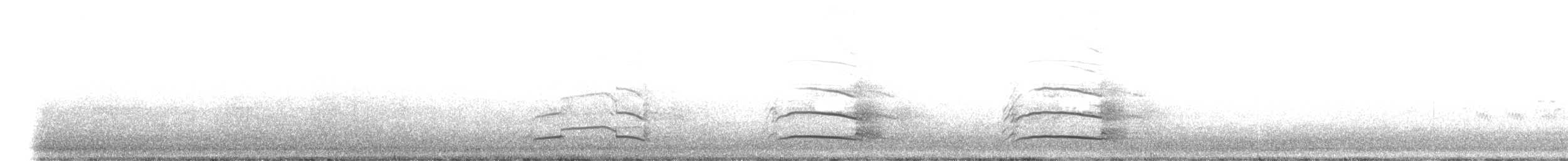 Yellow-tailed Black-Cockatoo - ML644916834