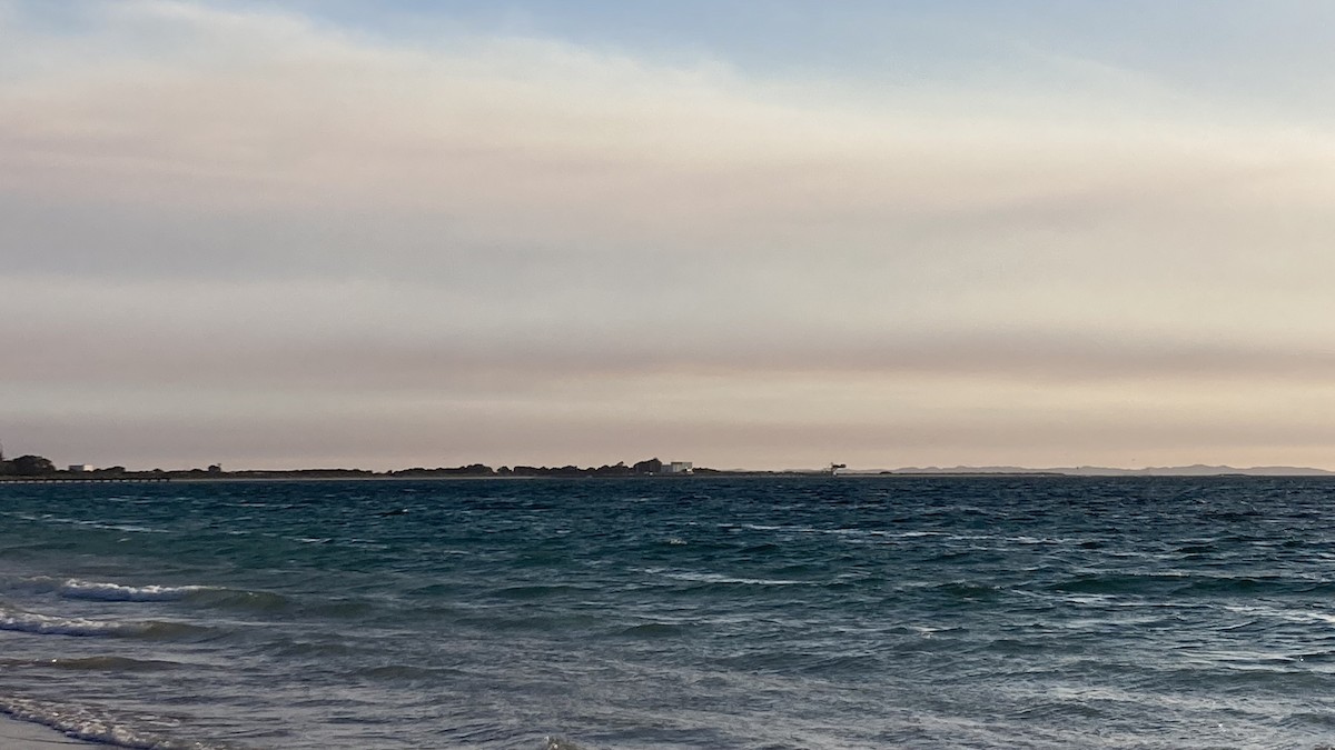 orlovec říční - ML644916947