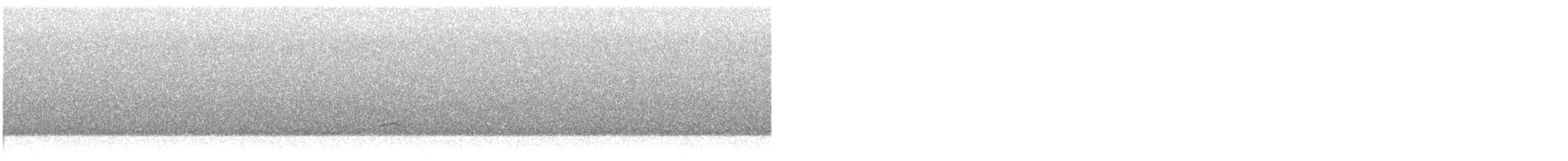 Catharus sp. - ML644916976