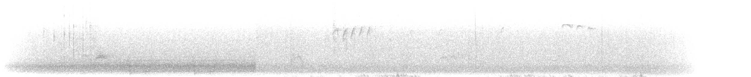 dlask žlutočelý - ML644917363