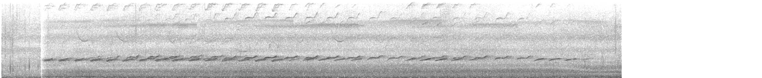 Mielero Chillón - ML644917383