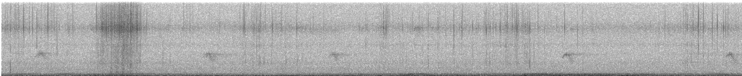 Picogordo Vespertino - ML644917467