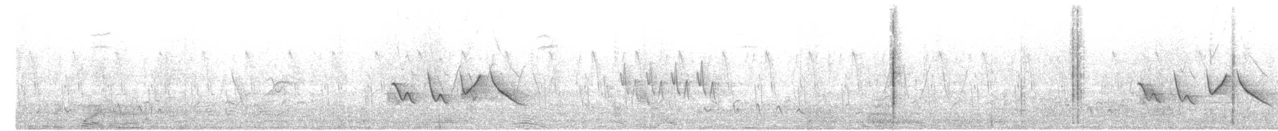 Camachuelo Carminoso - ML644917773