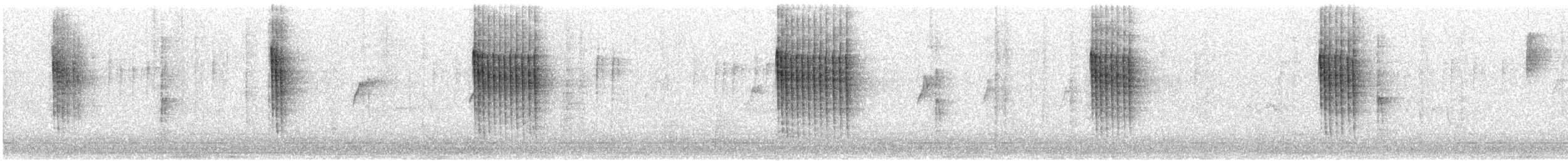 Chochín Paleártico (Euroasiático) - ML644917864