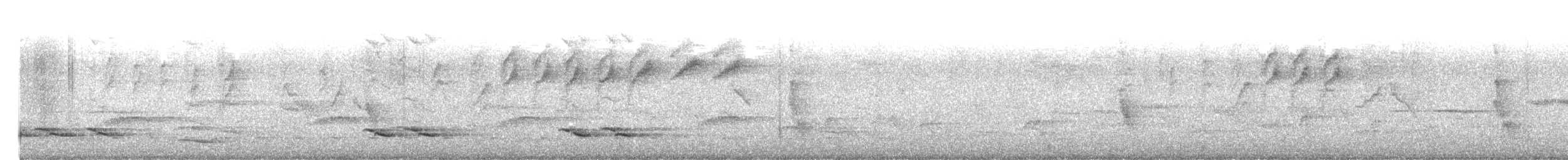 Zorzal Palmero Acollarado - ML644917959