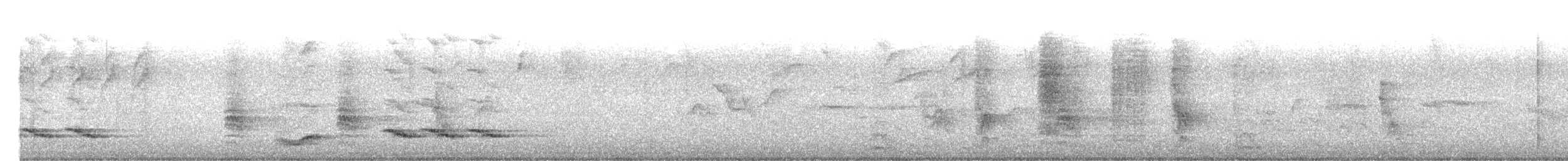 Zorzal Palmero Acollarado - ML644917960