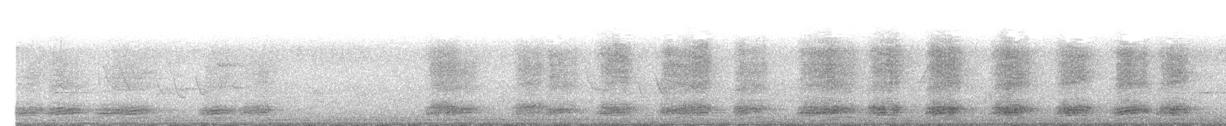 Крук строкатий - ML644918824