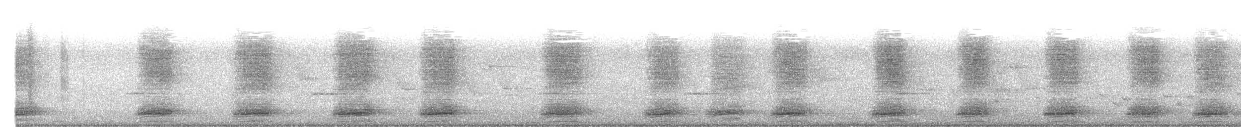 Крук строкатий - ML644918825