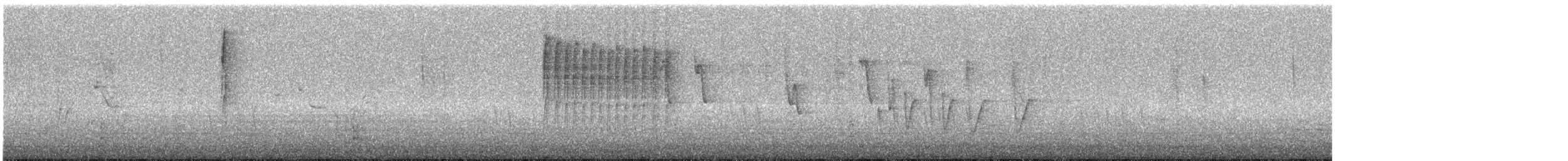 Широкохвістка середземноморська - ML644919018