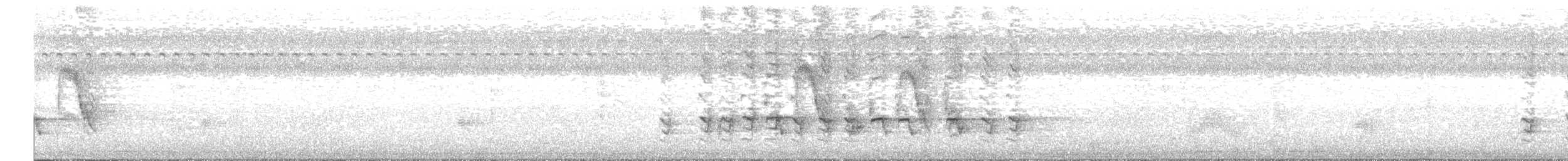 Горована індійська - ML644919449