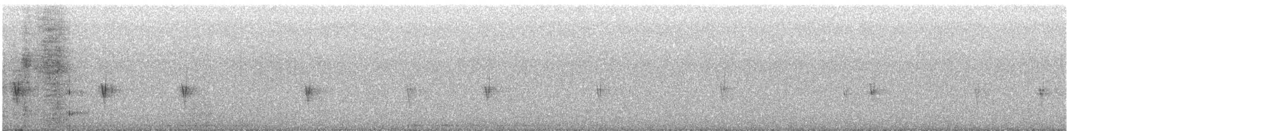 Шишкар ялиновий - ML644920002