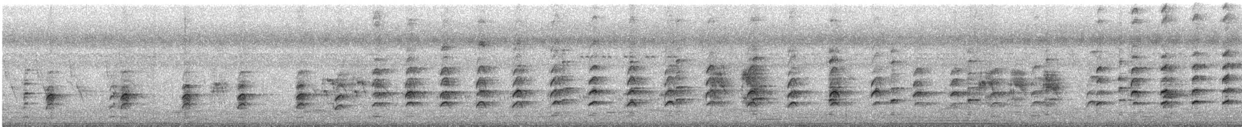 Échasse blanche - ML644920440