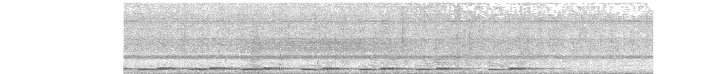 Marmorwachtel - ML644920868