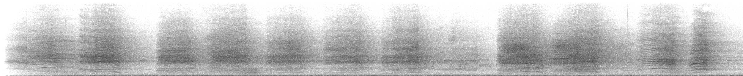 Sulphur-crested Cockatoo - ML644922424