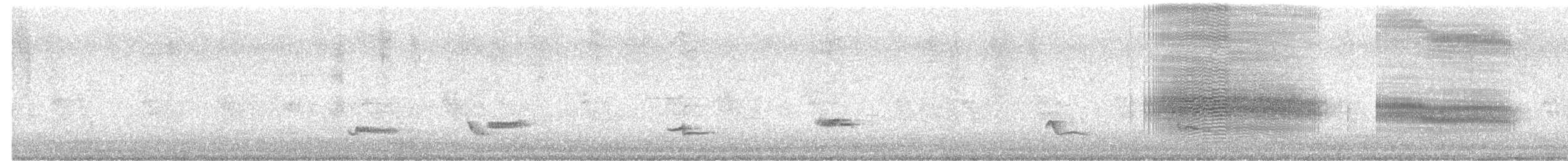 Creamy-bellied Thrush - ML644922463