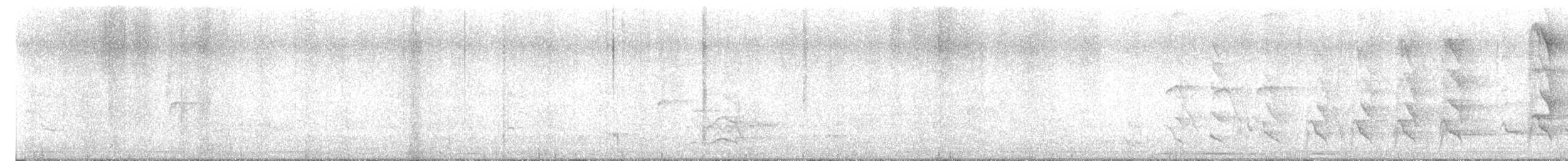 Rose-ringed Parakeet - ML644923743