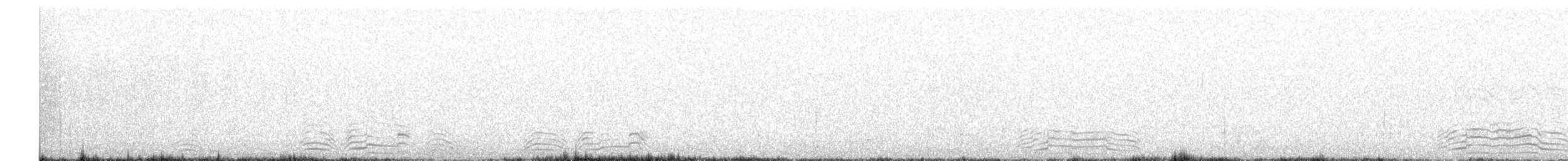 hoholka lední - ML644924023