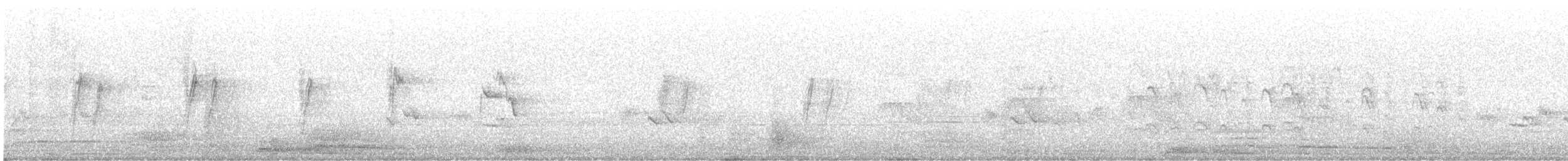 House Sparrow - ML644924170