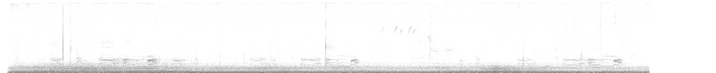 hoholka lední - ML644924469