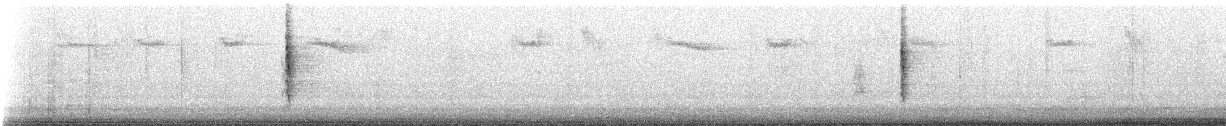 Wilson's Warbler - ML644924998