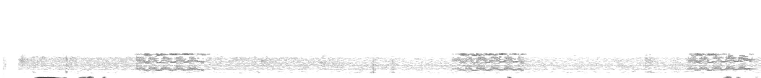 Pabuç Gagalı Tiran - ML644925572