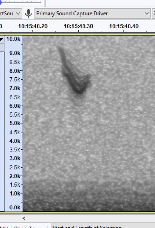 American Tree Sparrow - ML644925960