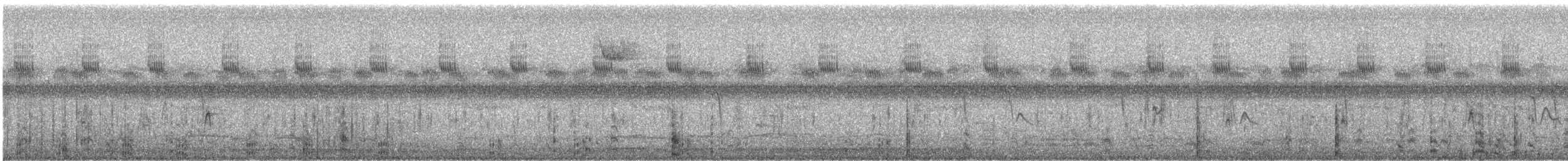 American Coot (Red-shielded) - ML644926603