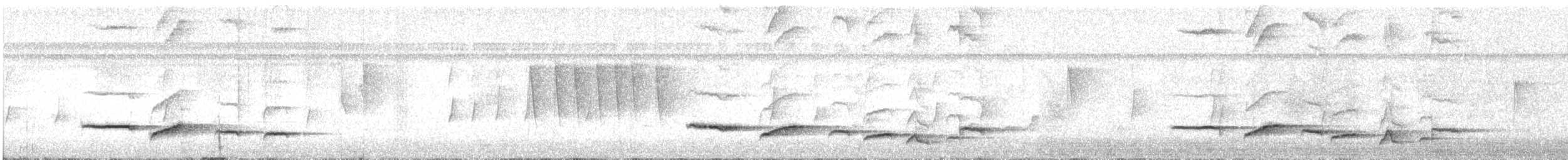 White-rumped Shama - ML644927204