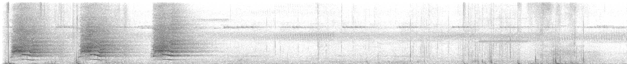 Sulphur-crested Cockatoo - ML644927811