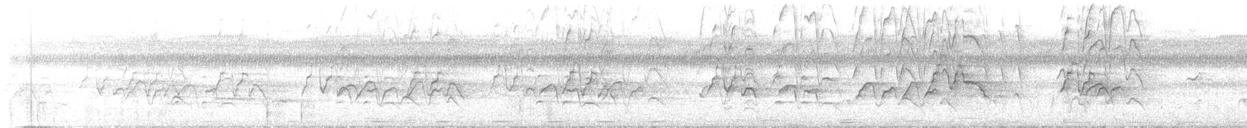 White-faced Whistling-Duck - ML644929452