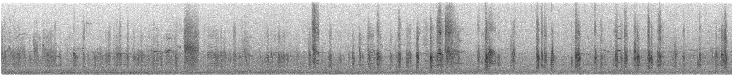 Common Grackle - ML644929477