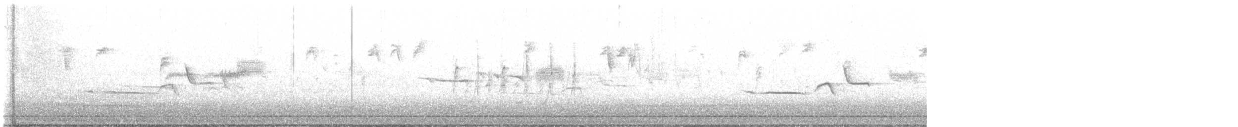 strnadec bělopásý - ML644929993