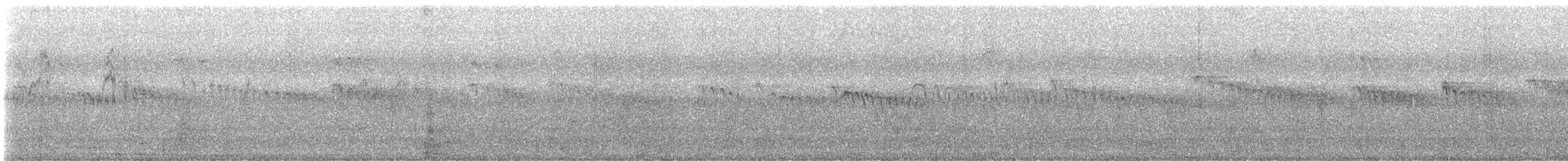 rorýs domovní - ML644930303