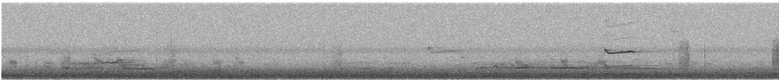 Wilson's Snipe - ML644930527