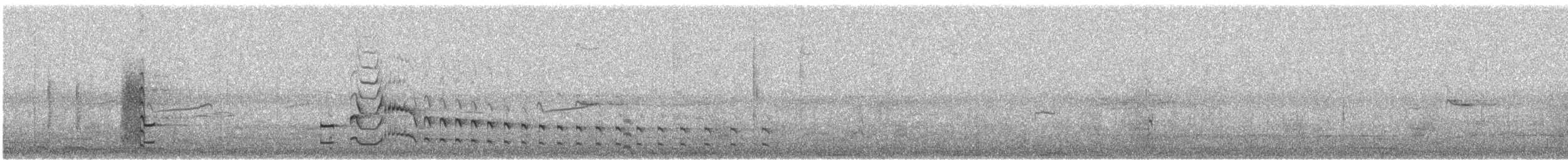 chřástal karolínský - ML644930620