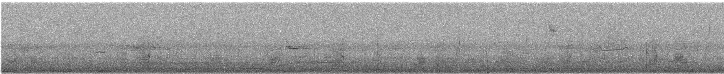 Wilson's Snipe - ML644930645