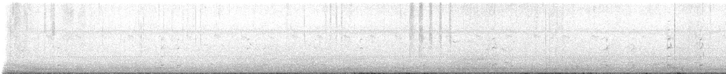 husa běločelá - ML644930658