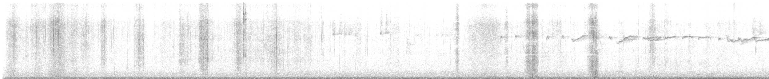 králíček americký - ML644930672