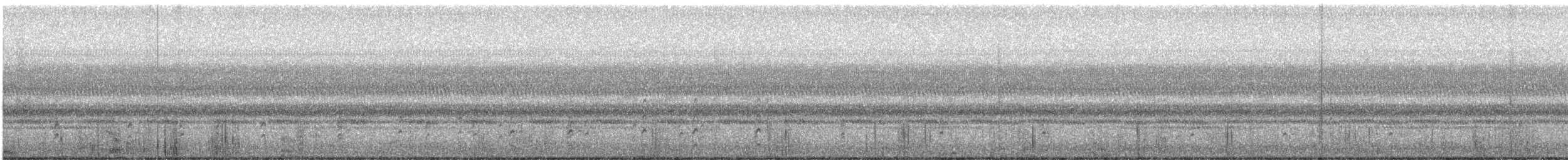 pisila černokrká (ssp. mexicanus) - ML644930777