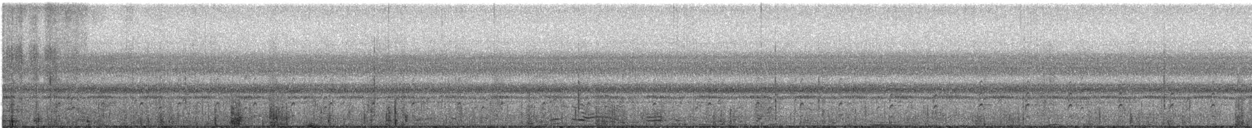 pisila černokrká (ssp. mexicanus) - ML644930781