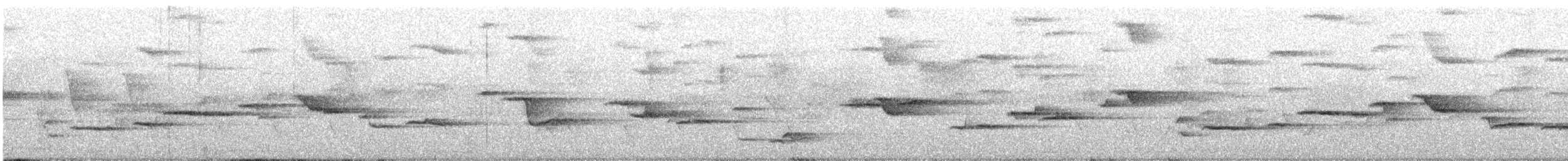 modravec siný - ML644930822