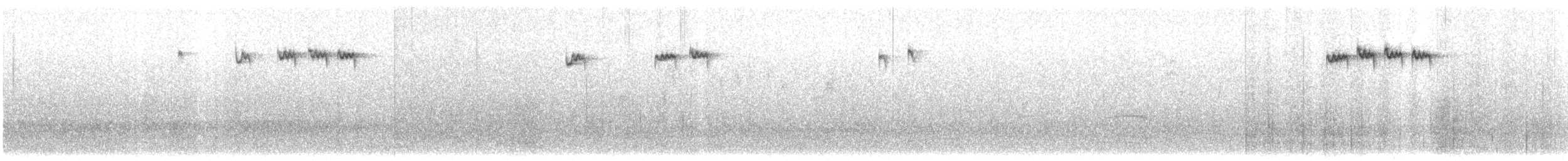 králíček obecný - ML644932989