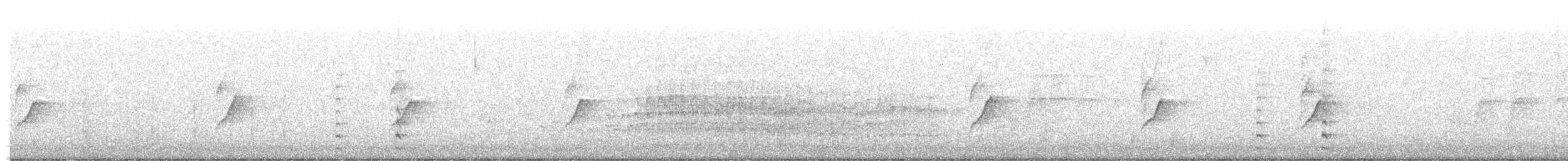 potápka malá - ML644934254