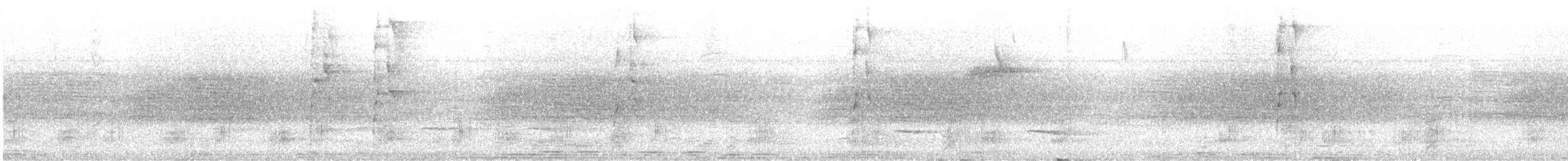 Halsbandarassari - ML644934528