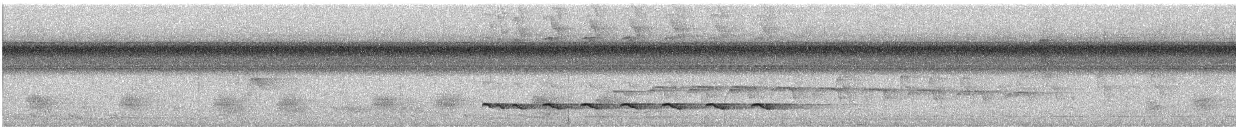 Goeldiameisenvogel - ML644934539