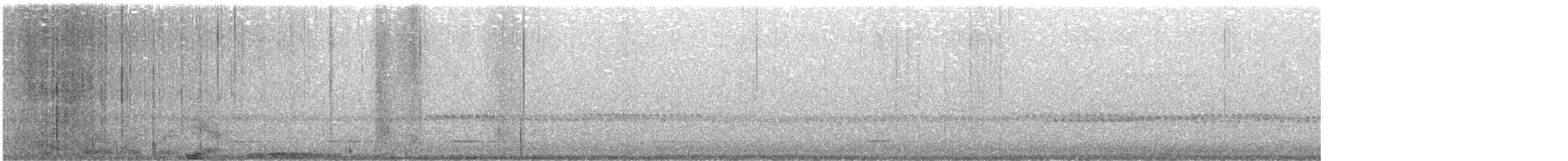 Eule, unbestimmt - ML644934634