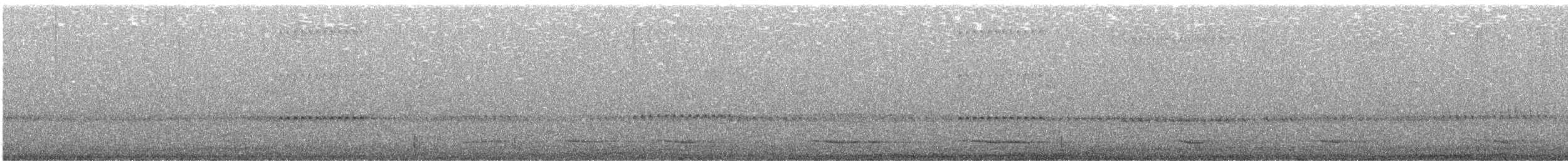 Eule, unbestimmt - ML644934635