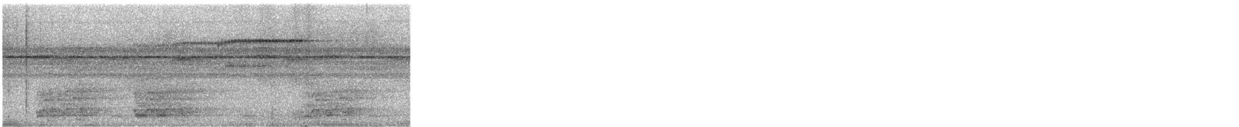 Mülleramazone - ML644934741