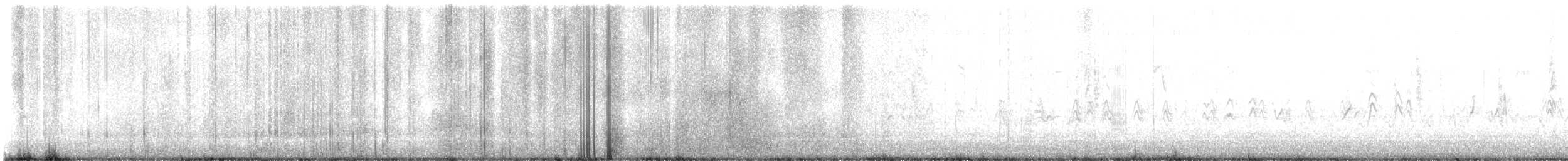 Kaliforniengrundammer - ML644934883